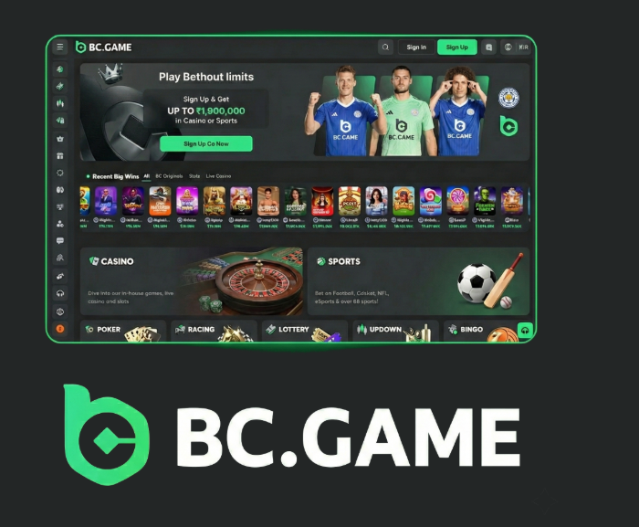 Exploring BC.Game Mirror Sites A Guide for Gamers